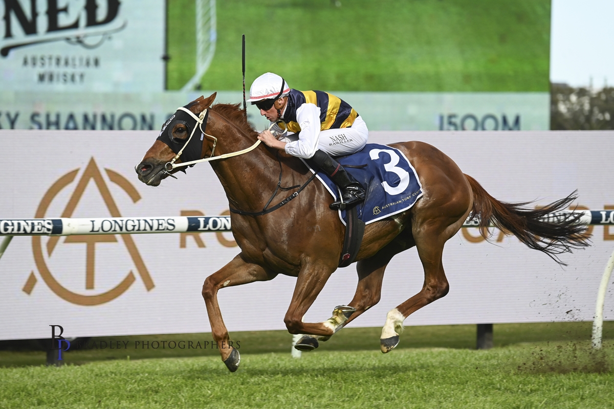 We're saddened to confirm the loss of Cepheus. We feel for all connected with this special horse, our co-owners and in particular Matt Dunn and the whole team at <a href="/mattydunnracing/">Matthew Dunn Racing</a>.

We will miss seeing him in action with <a href="/nashhot/">Nash Rawiller</a> on board and will remember him as the true warhorse