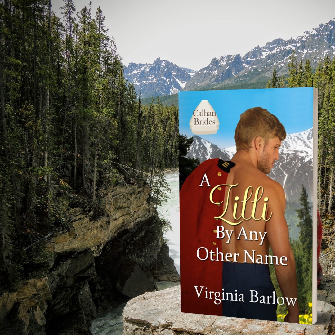Woohoo! I received an awesome 5+ star review today from N.N. Light's Book Heaven. "A Lilli By Any Other Name is a historical romance with suspense, adventure, and the beauty of the Canadian wilderness. #wrpbks #nnlightsbookheaven #newrelease #calhanbrides  #virginiabarlowauthor