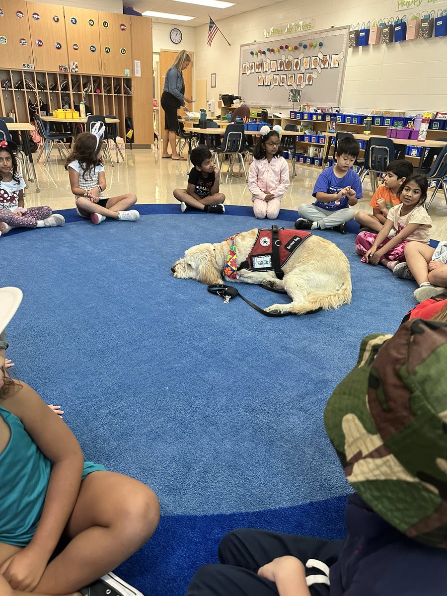💖🐾🐶💖#gibson #shinelikesable #MASONmoment #4PawsforAbility <a href="/MrsBly_MECC/">Melissa Bly</a> <a href="/MECC_Counselor2/">Ashley Goheen</a> <a href="/MasonSchools/">Mason City Schools</a>