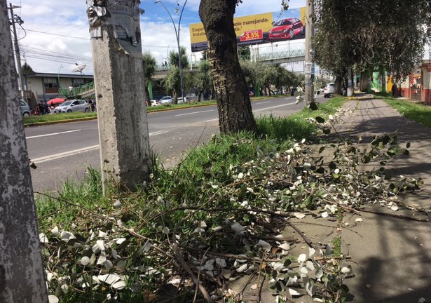 Chio_Sam's tweet photo. 🛣️ Ésta es la mentada Avenida Tecnológico, en Metepec #EdoMéx. Entre la gente sucia y la falta de labores de limpieza del gobierno @Edomex. YA SEA CUESTIÓN MUNICIPAL O FEDERAL PERO...URGE LIMPIEZA, DISEÑO DE LA VIALIDAD. @MetepecGobierno 
#LimpiemosEdoMéx #EdoMéxLimpio https://t.co/BsgmevNyPf