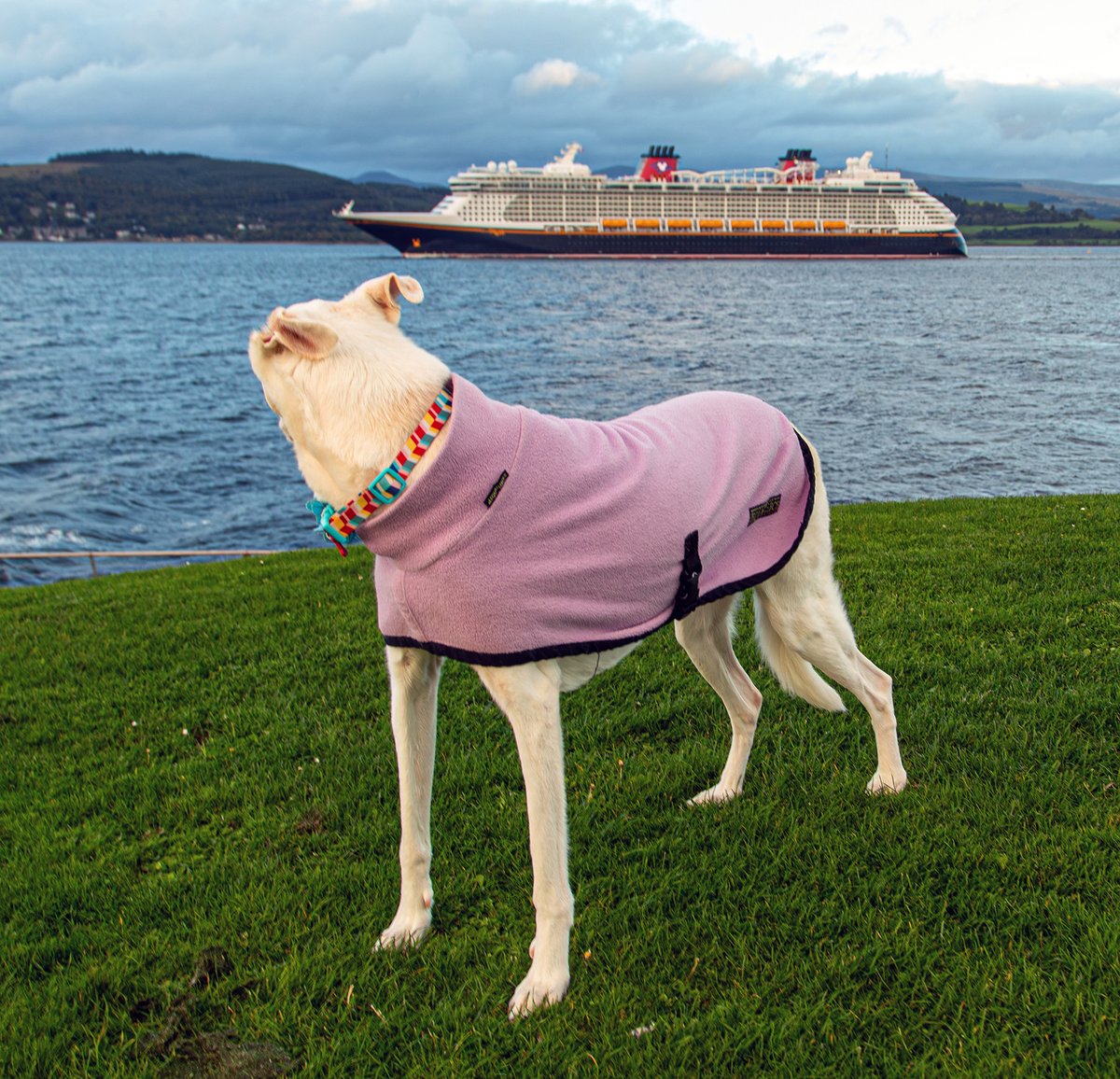 watching Disney Dream depart on a cold &amp; blustery evening ........