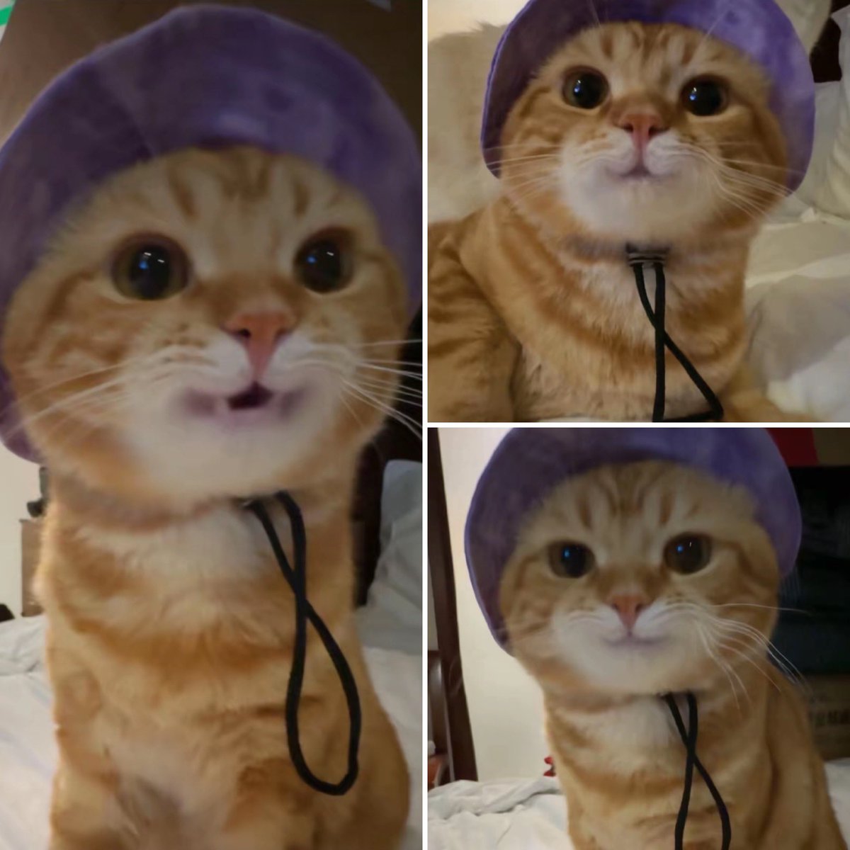 he’s so adorable :3