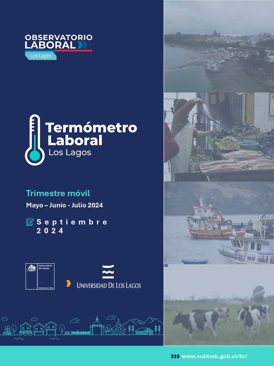 OL_LosLagos's tweet photo. Ya disponible el Termómetro Laboral del mes de septiembre en la Región de Los Lagos. Información completa en https://t.co/WrUzCnTwtG https://t.co/gna9UuU0RK