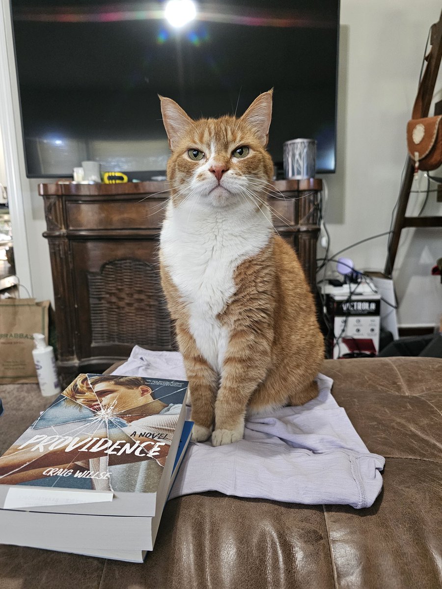 Merlin is definitely judging!  #catsjudgingjd