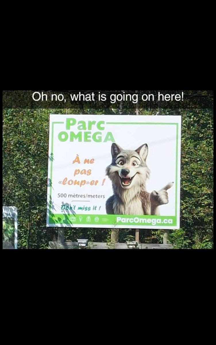 PapakrokVT's tweet image. At the zoo in Canada, what is this! #Canada #Furry #parcomega