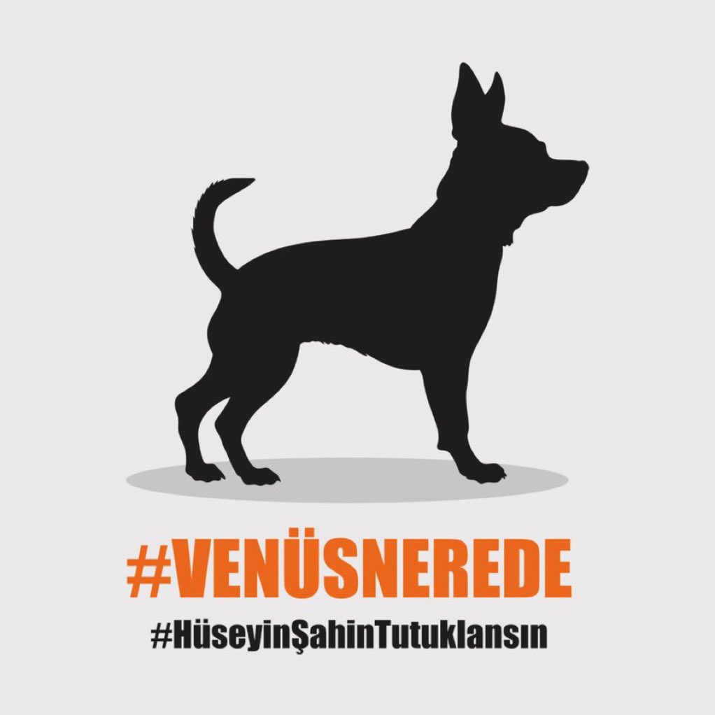 alwaysanimals34's tweet photo. Sahte diploma ile İzmirde kendisini veterinerim diye tanıtarak tedavi veya kısırlaştırma için aldığı hayvanları yok eden #hüseyinşahintutuklansın @AliYerlikaya @ibrahimyumakli https://t.co/VkSrN1M17A