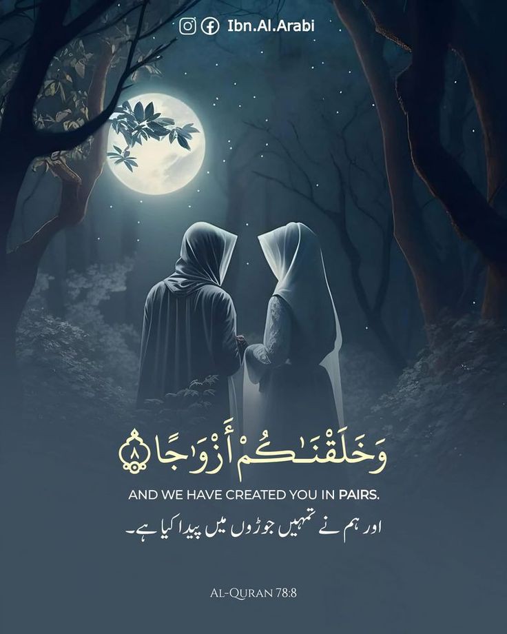 Al_Quran_011's tweet photo. reposts, it will help you🤍🕊️ https://t.co/ipIdBGcFlW