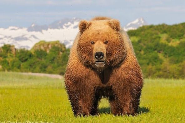 Creepy.org tweet media