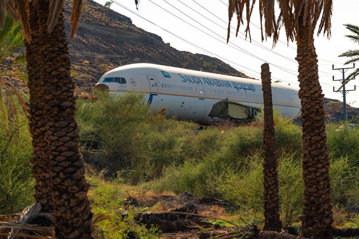 اسأل عن المشاريع tweet media