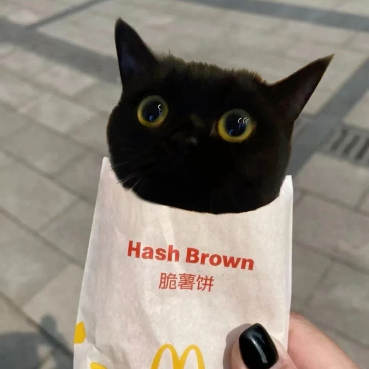 they burnt my hash brown :(