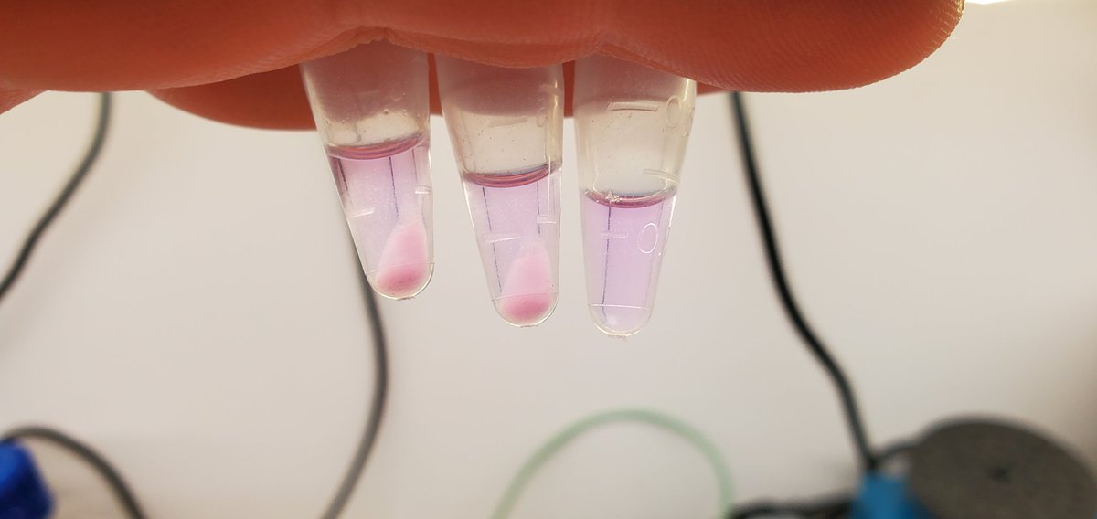 Sebastian S. Cocioba🪄🌷 tweet media