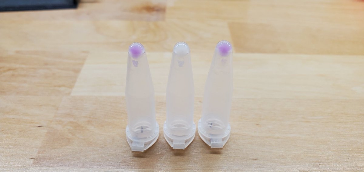 Sebastian S. Cocioba🪄🌷 tweet media