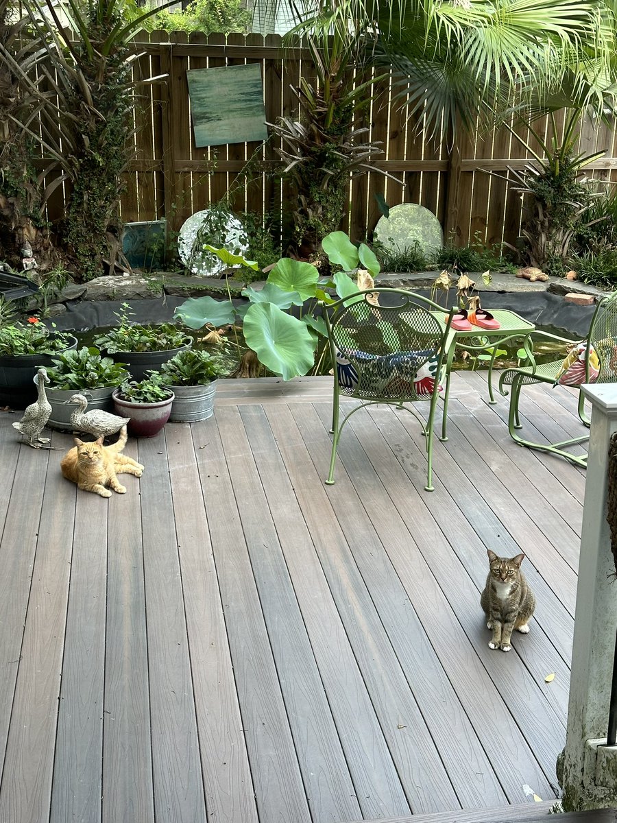 Patrick Skinner tweet media