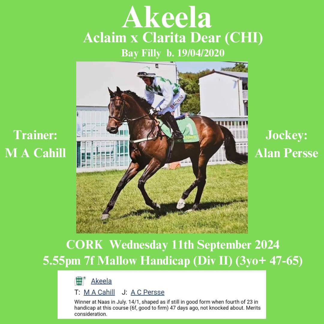 Nixterr1's tweet photo. Very best of luck tomorrow 🙏🍀 #homebred #thoroughbred #Hussonet #Aclaim #racehorse #irishracing #Cork #ClaritaDear #Chileanthoroughbred #blacktypefamily #bloodlines #pedigree https://t.co/tNTkwwejZd