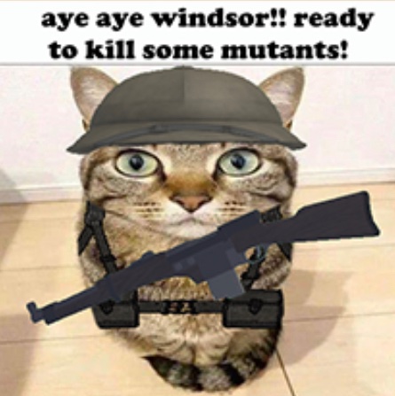 Russian posting (@russianposting) on Twitter photo 