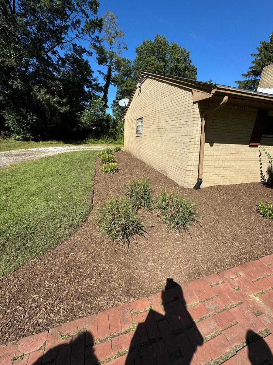 HaymakerTree's tweet image. We have some nice before and after pics from a landscape job the other day.🏡 There was quite a bit to clean up before the crew was able to put down some new mulch for the beds around the house.🌻 What a nice look! #landscapeservice #mulch