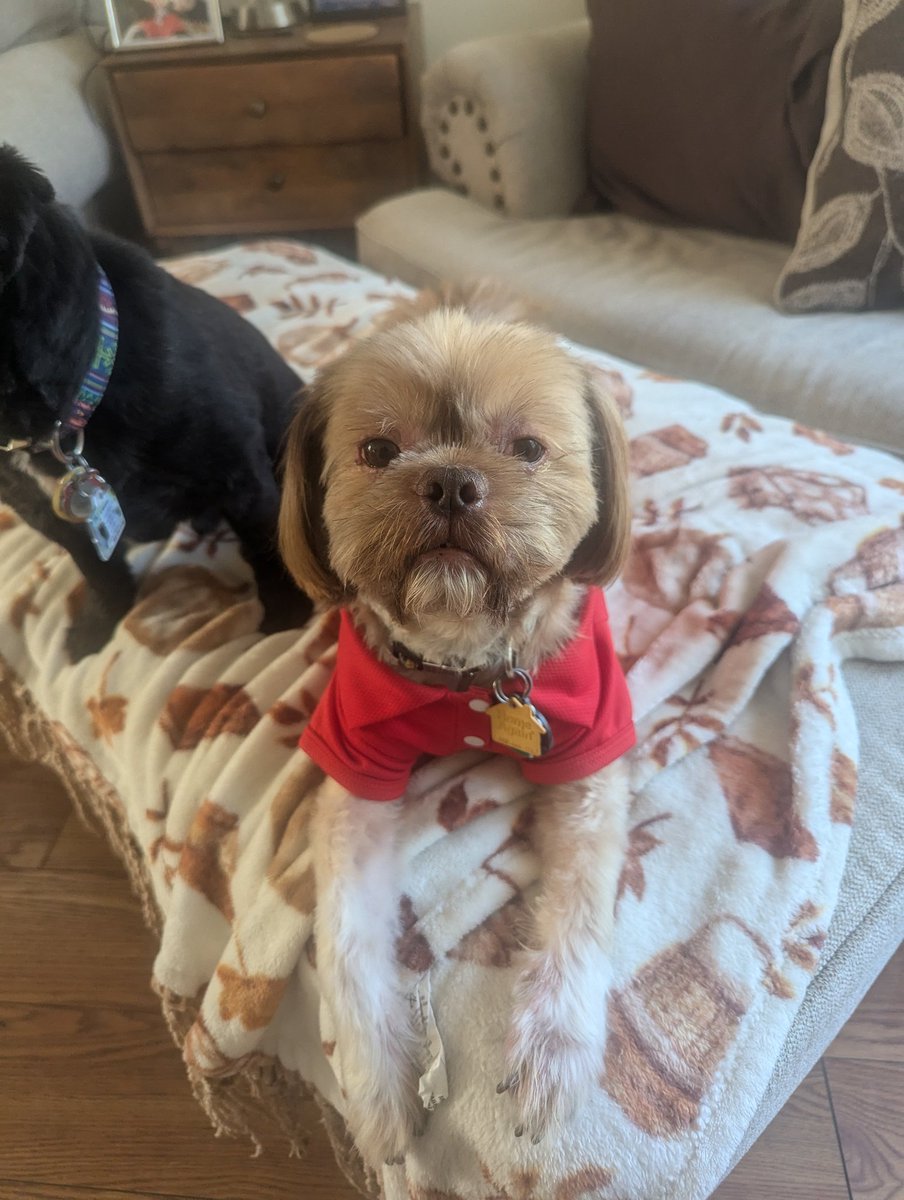 Hey <a href="/Target/">Target</a>  I think Ted is ready to go work on your pet department.