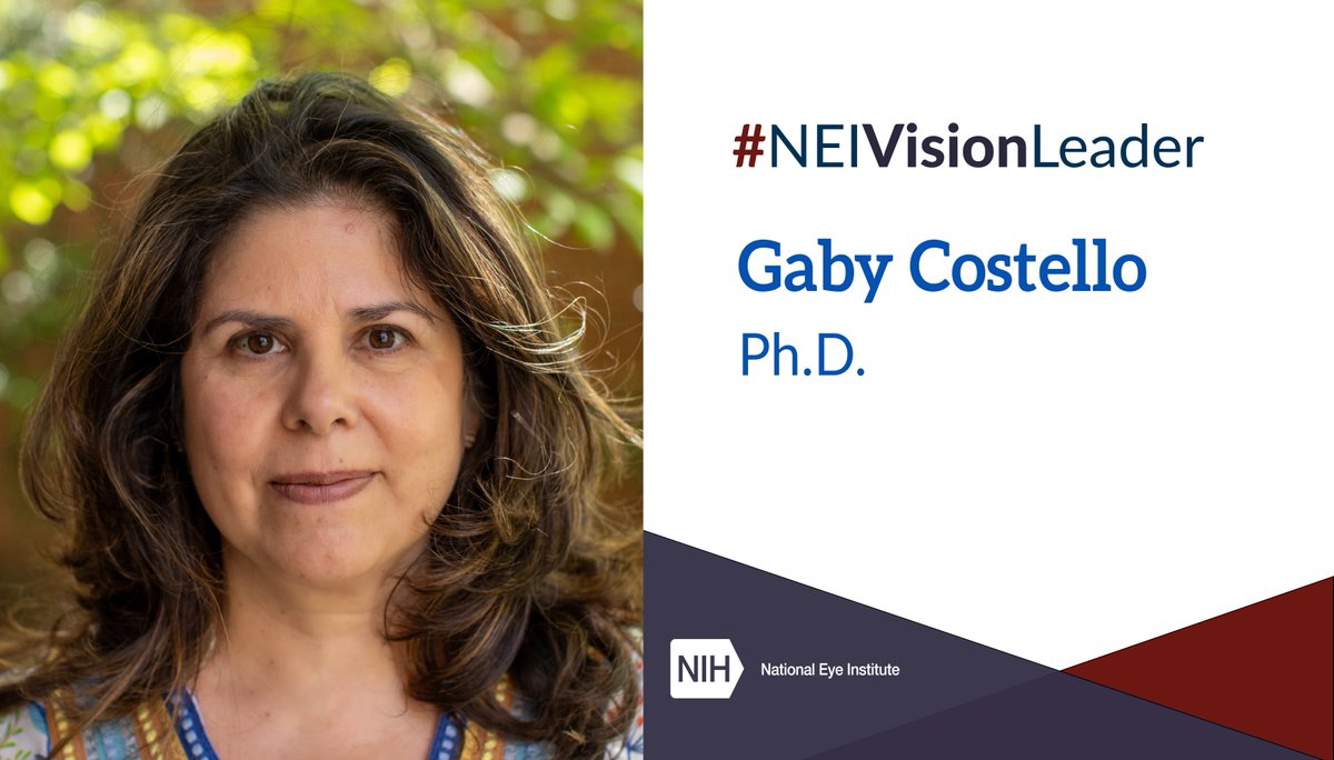 Meet #NEIVisionLeader, Gaby Costello, Ph.D. She studies the neuronal networks that guide our everyday choices, and how dopamine signals shape behavior. Read more about this neuronal network research at bit.ly/3ze1fpW