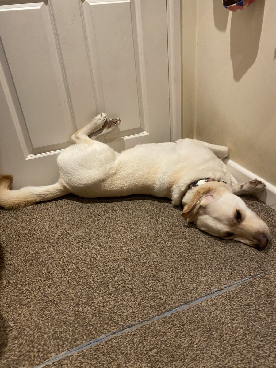 do you think this weirdo knows how much he has changed my life? 🥹