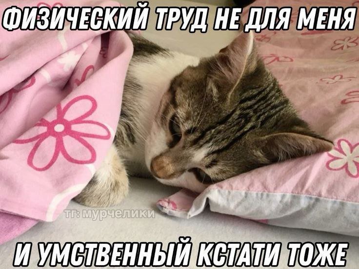 🐸жабья принцесса👑 (@kxiq7u7oc8nsgnc) on Twitter photo 