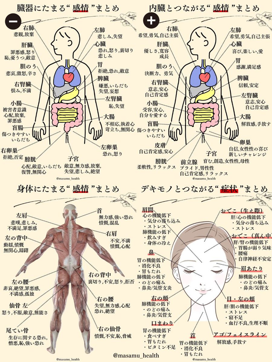 masamu_health's tweet photo. これ保存しておくと、身体や内臓とつながった感情が分かるよ！自分をたくさんいたわってあげてね！ https://t.co/4d62VpKFCb