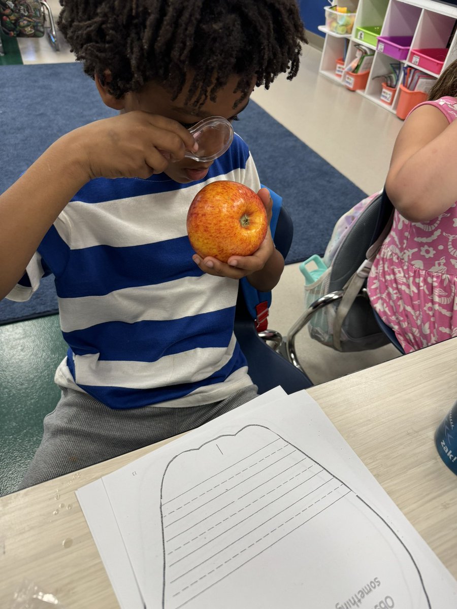 Kaila Lowe tweet media