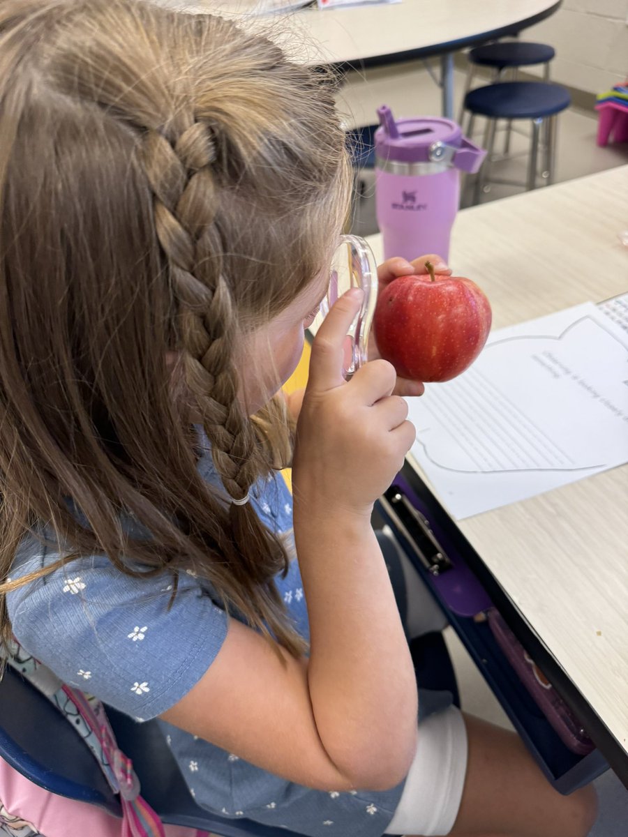 Kaila Lowe tweet media