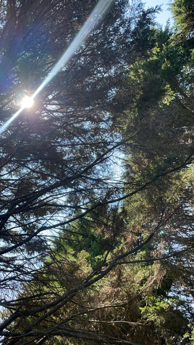 norauthwik's tweet photo. A submission of the sunshine and blue sky outside of #CardinalHall today. 

We wish everyone a very happy Tuesday ☀️ 

Find out more about us: https://t.co/vMXZcCTH4i
Email us at: info@norauthwik.org
Or send us a message @norauthwik 

#NorAuthwik | #Art | #MicroNation | #Tuesday https://t.co/3kHWE2uPZv