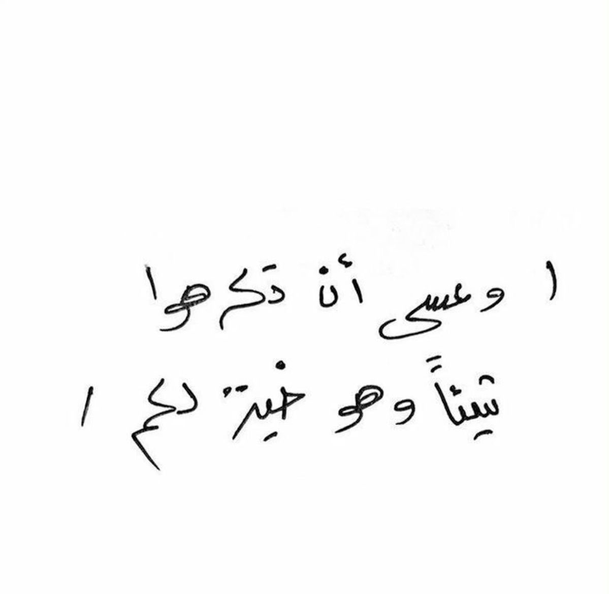iiitear's tweet photo. https://t.co/EgpiRhkCGP