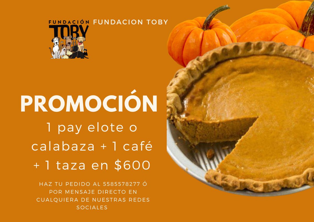 Fundación Toby tweet media