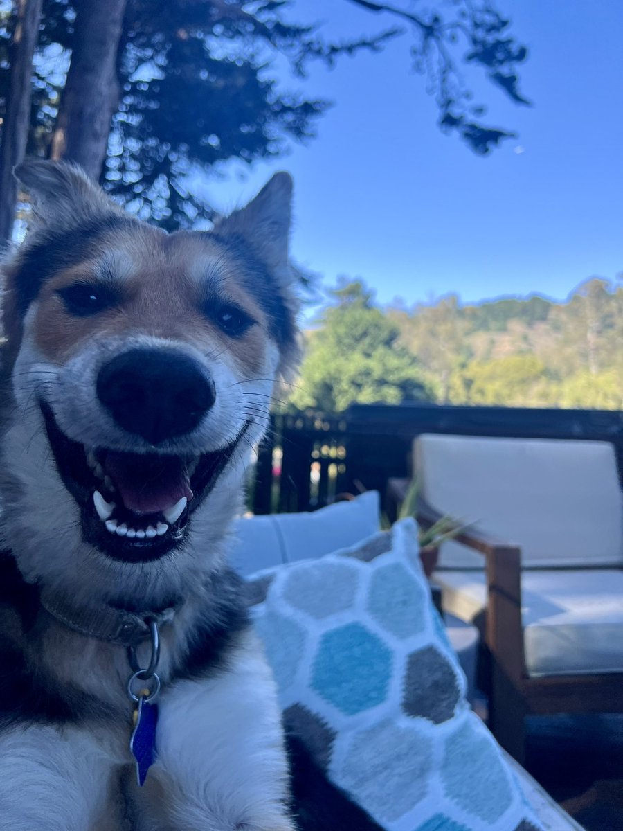 Michelle Volz 🇺🇸🚀 tweet media