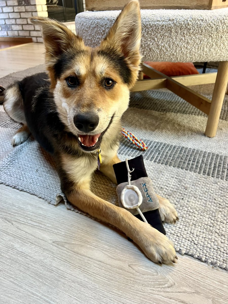 Michelle Volz 🇺🇸🚀 tweet media