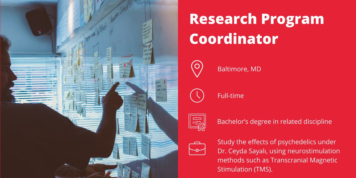 Johns Hopkins Psychedelic Research Center (@jhpsychedelics) on Twitter photo We are hiring a new research coordinator to work with Dr. Ceyda Sayali (<a href="/CeydaSayali/">Ceyda Sayalı</a>), using neurostimulation methods such as Transcranial Magnetic Stimulation to study the effects of psychedelics. Learn more and apply at jobs.jhu.edu/job/Baltimore-… We are hiring a new research coordinator to work with Dr. Ceyda Sayali (<a href="/CeydaSayali/">Ceyda Sayalı</a>), using neurostimulation methods such as Transcranial Magnetic Stimulation to study the effects of psychedelics. Learn more and apply at jobs.jhu.edu/job/Baltimore-…