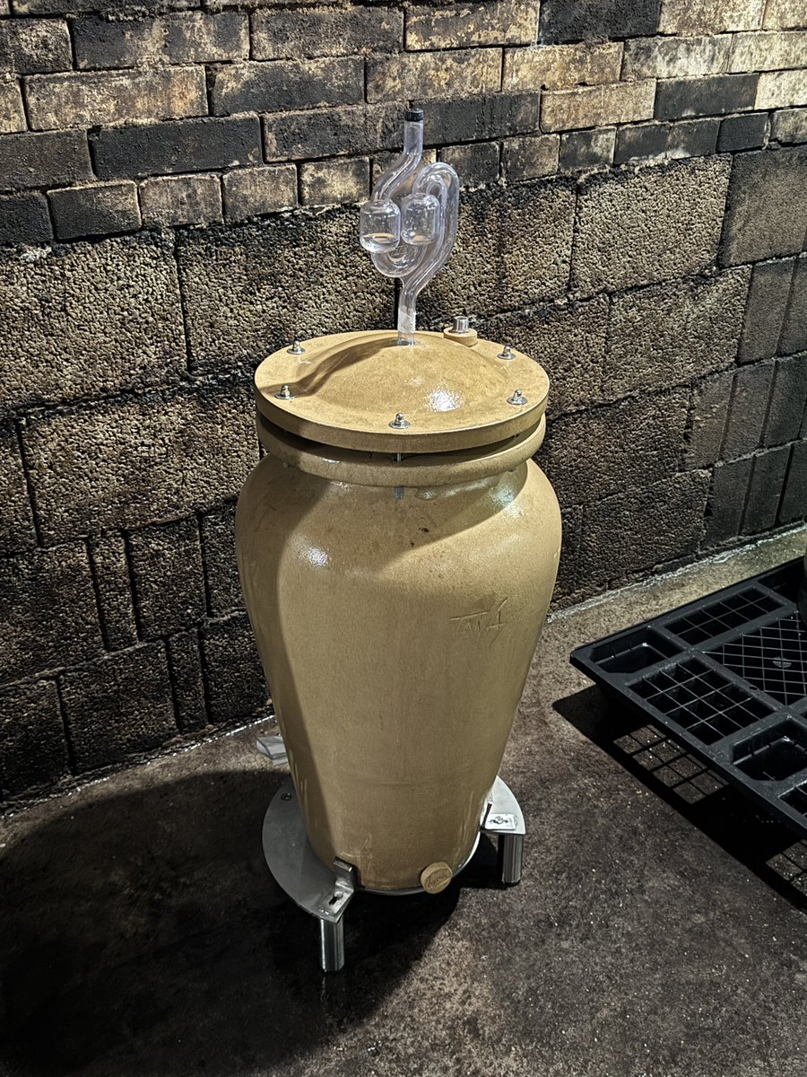 Kapitel Zwei Wine (@kapitelzweiwine) on Twitter photo Vintage 2024 in amphora starting today for the next 10–12 months - 90% #Grüner and 10% #Chenin. <a href="/austrianwine/">Austrian Wine</a> Vintage 2024 in amphora starting today for the next 10–12 months - 90% #Grüner and 10% #Chenin. <a href="/austrianwine/">Austrian Wine</a>