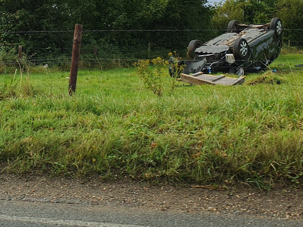 Spotted this at the bottom of Abbotsbury Hill, above Chesil Beach in Dorset, at the weekend. Sheesh!