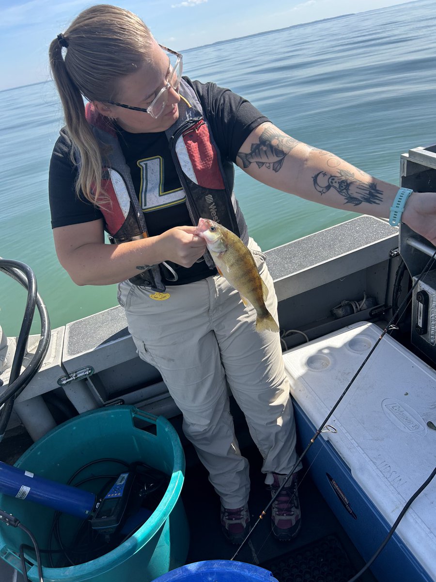 Kylee Wilson tweet media