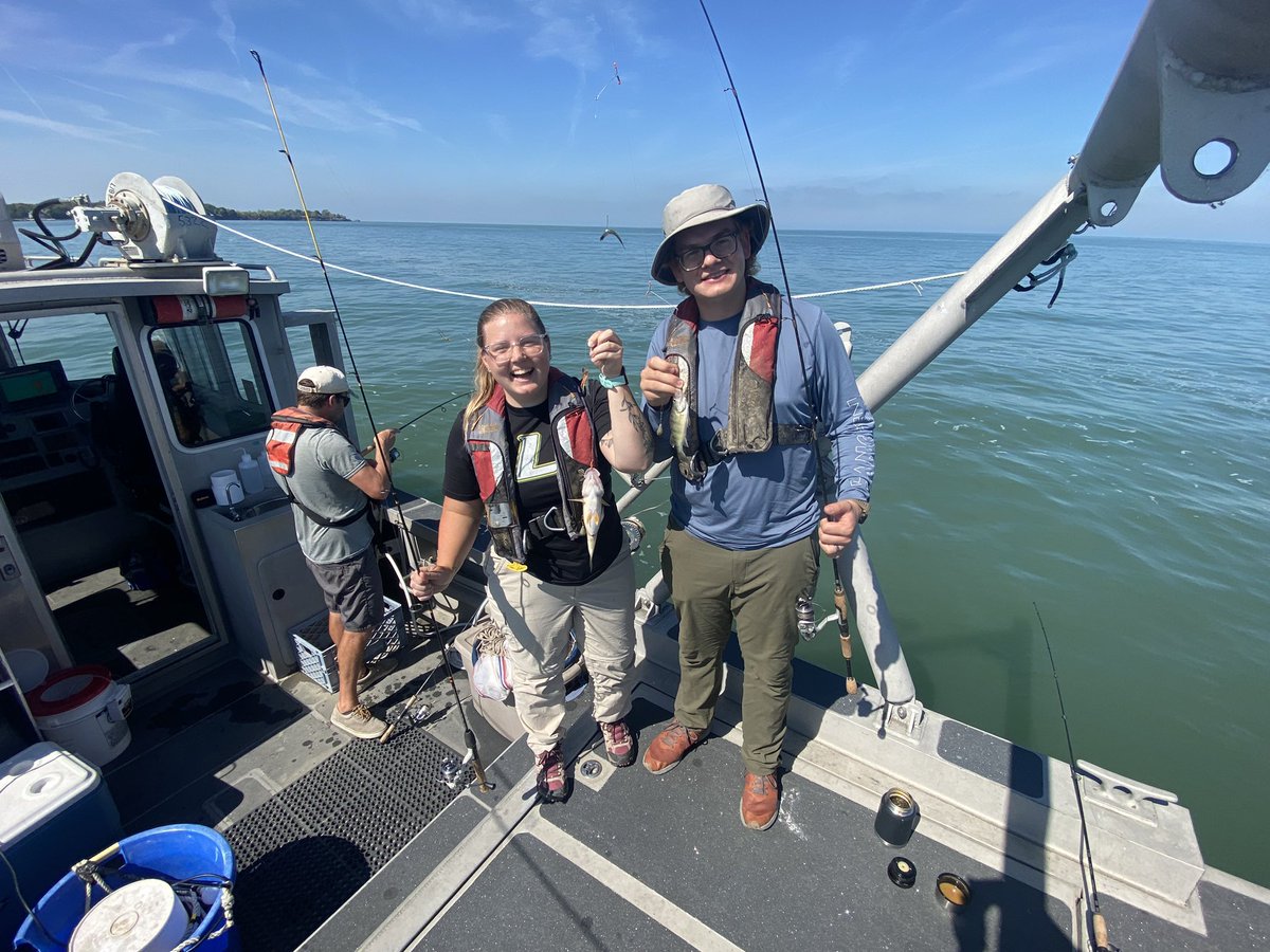 Kylee Wilson tweet media