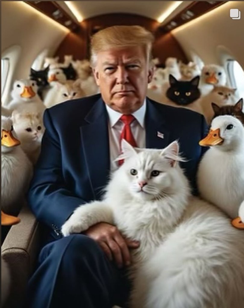 EricTrump's tweet image. 