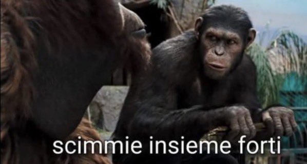 chiarascuroo's tweet photo. i fidanzati #TemptationIsland https://t.co/z7RVMWqv8F