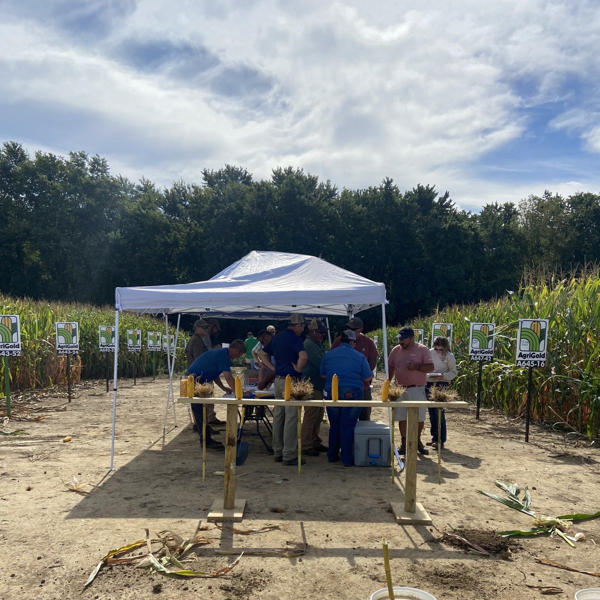 .<a href="/agrjosh/">Josh Johnston</a> from Region 1 provides hands-on training for our resellers. He dives into Field GX, shares tips on assessing plant health, and breaks down key factors like kernel weight and root mass. 

We're equipping our customers with the insights they need to #PlantForIt.