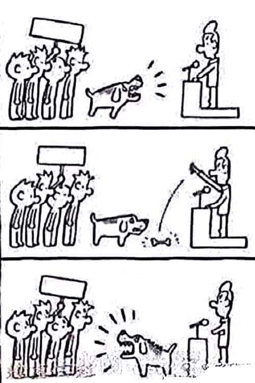 AdaLuisa9's tweet image. Radicales!