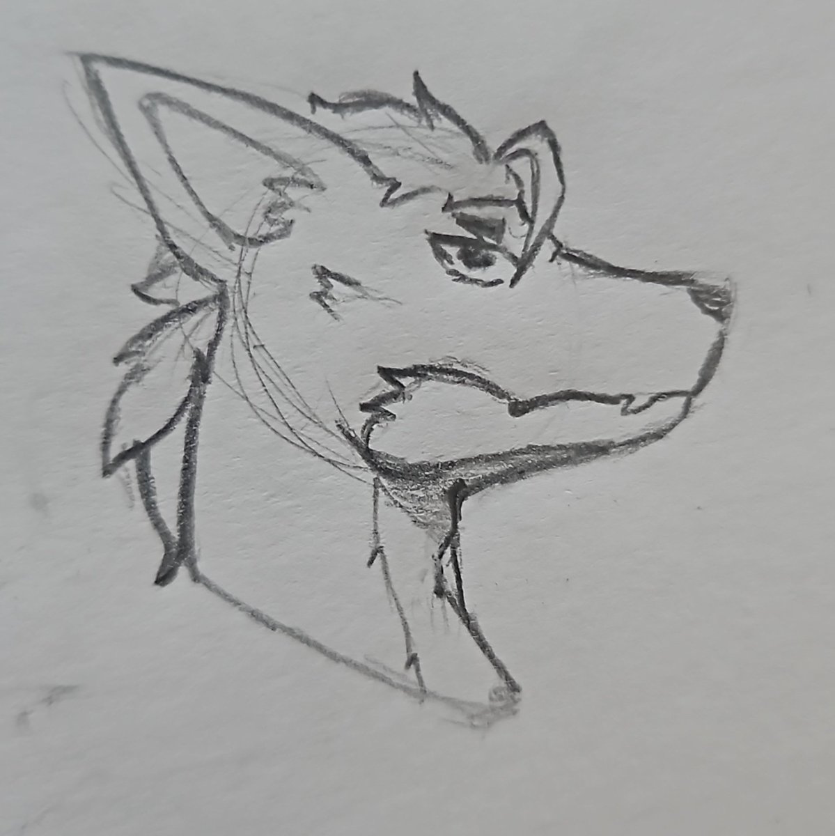 Another Oc if u have a question ill answer