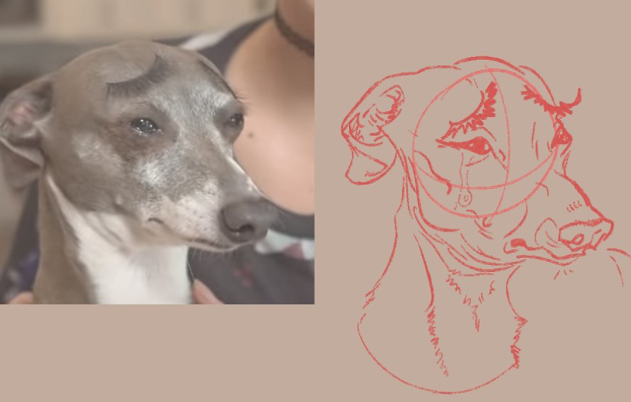 kerm study #jennamarbles #nastyboy