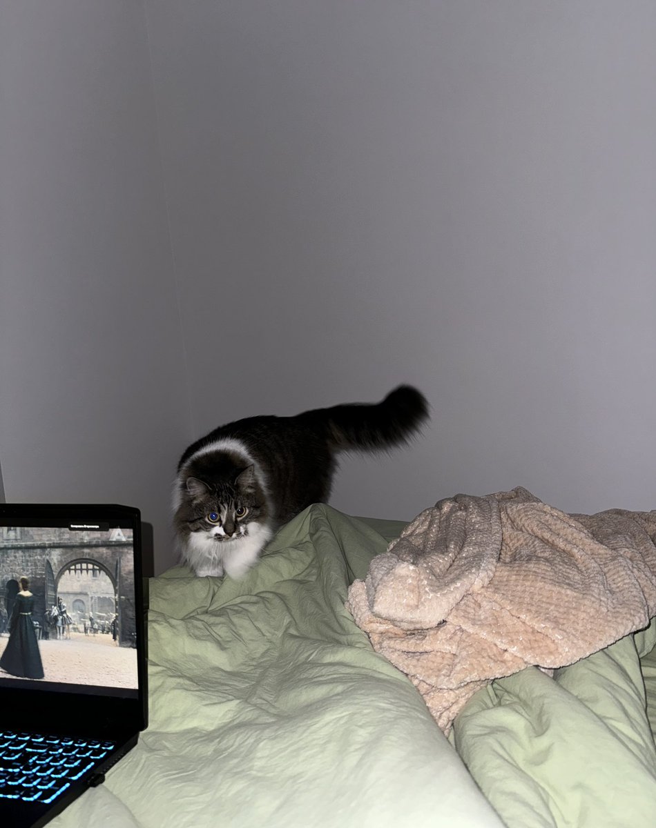 крыс кродеться

досмотрели «дом дракона», и могу сказать что это пепець, драконы как-то компенсируют конечно, но это 2/10🤧🤧