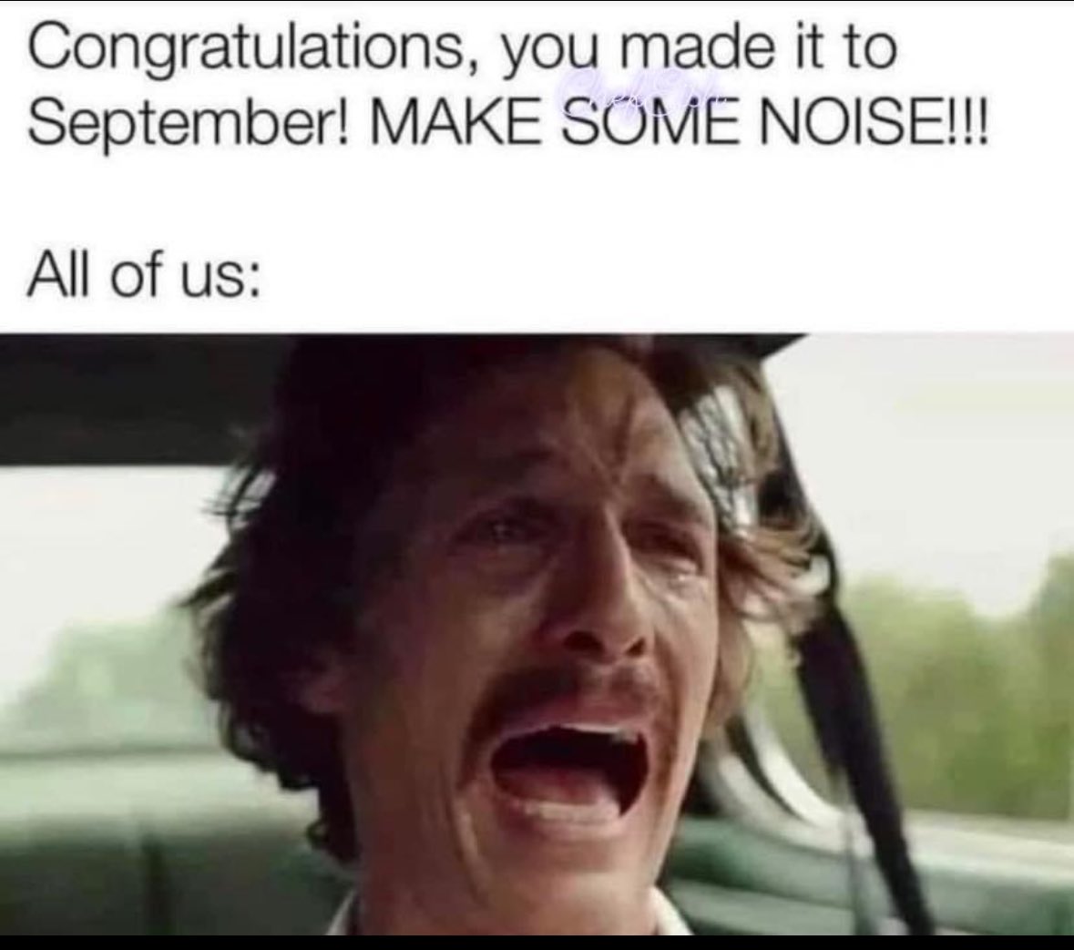 ADHDForReal's tweet image. 