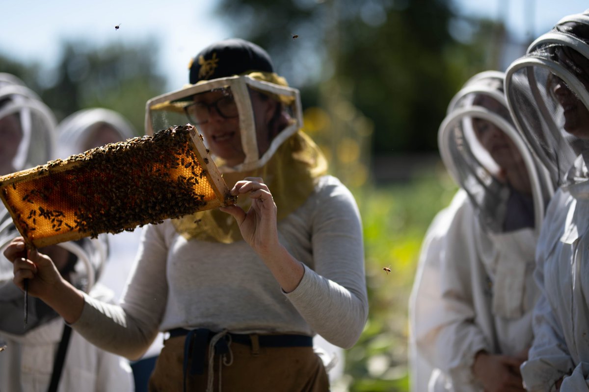 River Cafe (@rivercafeyyc) on Twitter photo River Café & <a href="/deanehouseyyc/">Deane House Restaurant & Garden</a> share a single bee colony as a part of <a href="/ABCbees/">ABC Bees Canada</a> #Bees4Communities Program. The restaurants sponsor a colony used in public education at its permanent home <a href="/confluence_yyc/">The Confluence Historic Site & Parkland</a> garden. Looking forward to tasting our honey this week!
#yyc River Café & <a href="/deanehouseyyc/">Deane House Restaurant & Garden</a> share a single bee colony as a part of <a href="/ABCbees/">ABC Bees Canada</a> #Bees4Communities Program. The restaurants sponsor a colony used in public education at its permanent home <a href="/confluence_yyc/">The Confluence Historic Site & Parkland</a> garden. Looking forward to tasting our honey this week!
#yyc