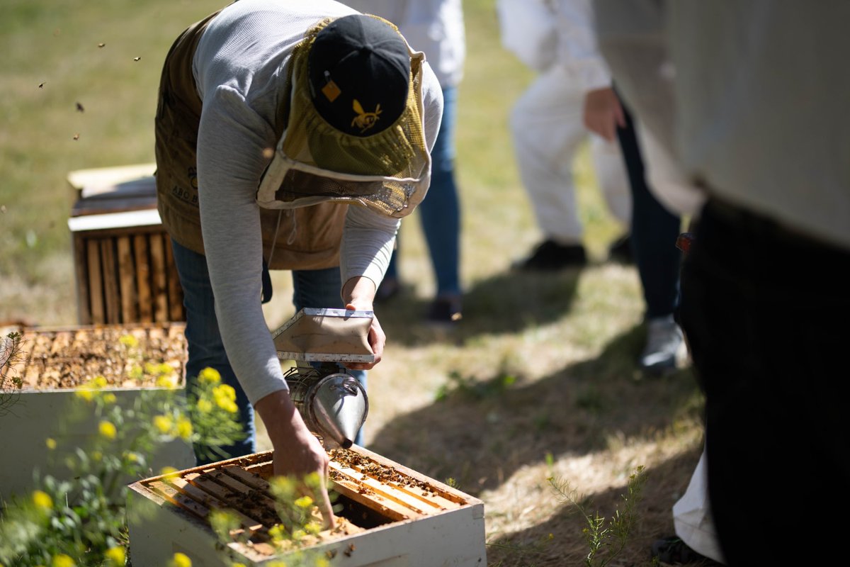 River Cafe tweet media