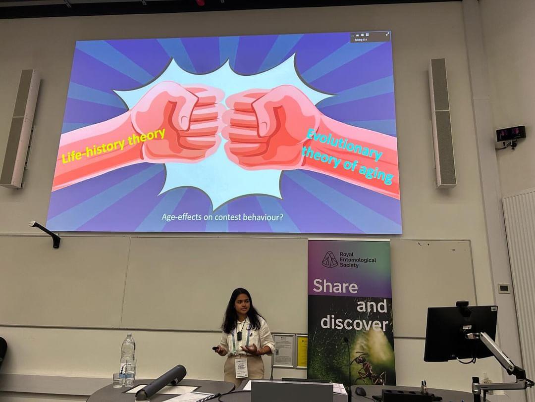 Kumari Riya Pati (@kumaririyapati) on Twitter photo What an absolute moment to talk about my heroes #buryingbeetles at the <a href="/RoyEntSoc/">Royal Entomological Society</a>, understanding plasticity of ageing for competitive behaviour.
#ENTO24 #firsttalkofmyphd What an absolute moment to talk about my heroes #buryingbeetles at the <a href="/RoyEntSoc/">Royal Entomological Society</a>, understanding plasticity of ageing for competitive behaviour.
#ENTO24 #firsttalkofmyphd