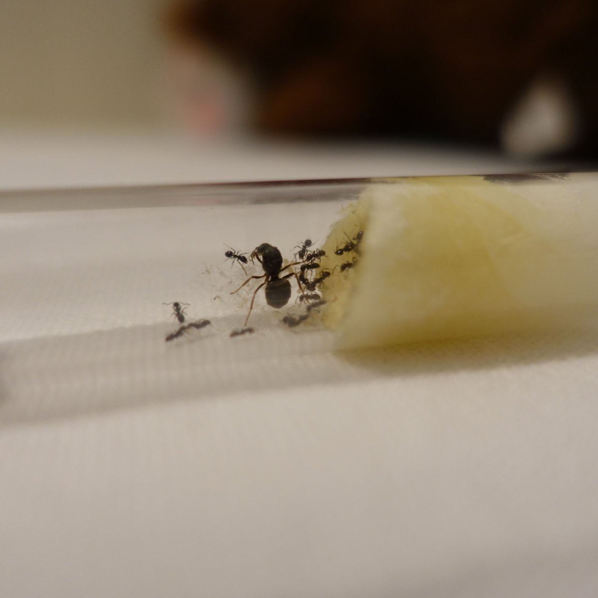 Alberto Martinez tweet media