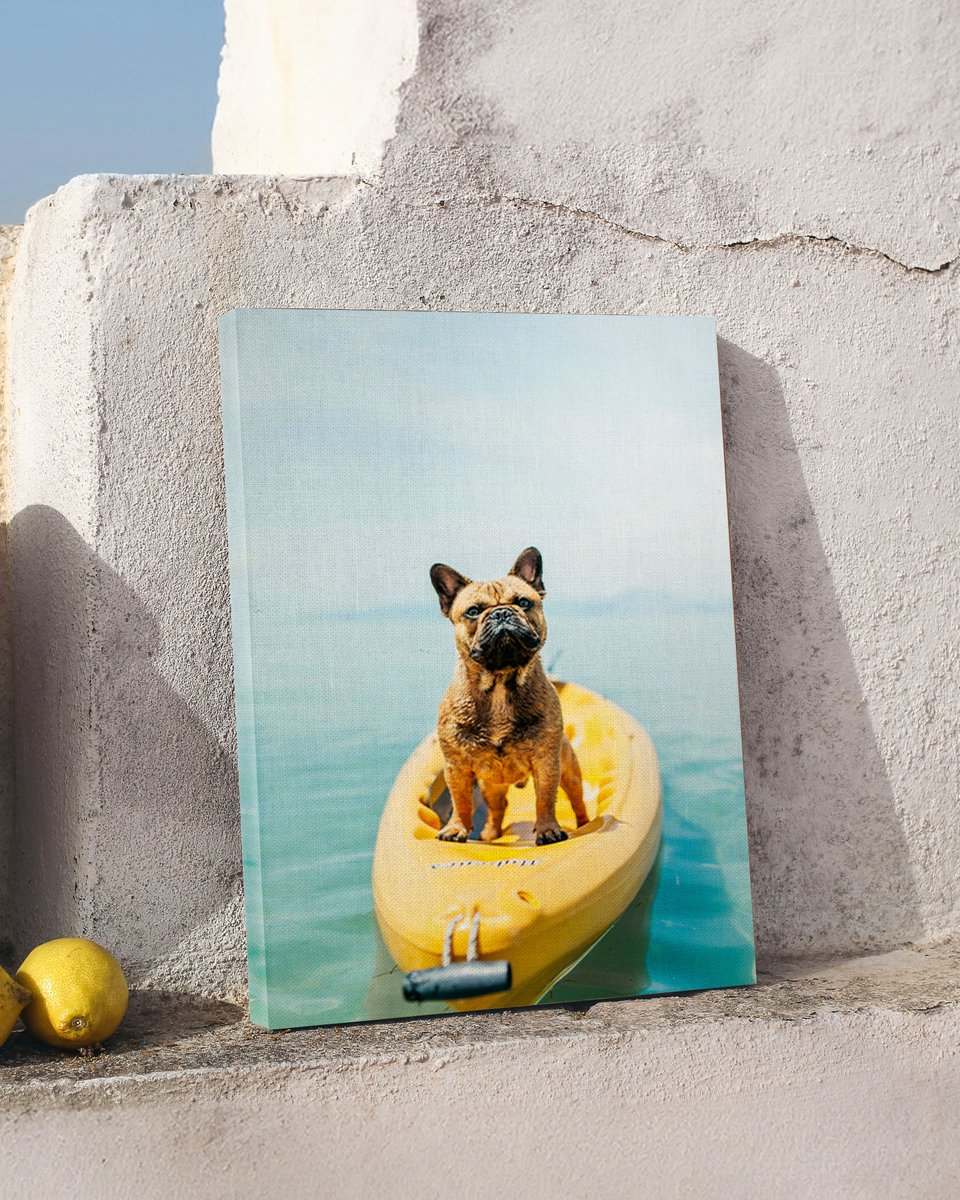 Ever wondered what makes our prints so special? It’s all in the details—premium materials and vibrant colors for a picture-perfect finish. 🌟